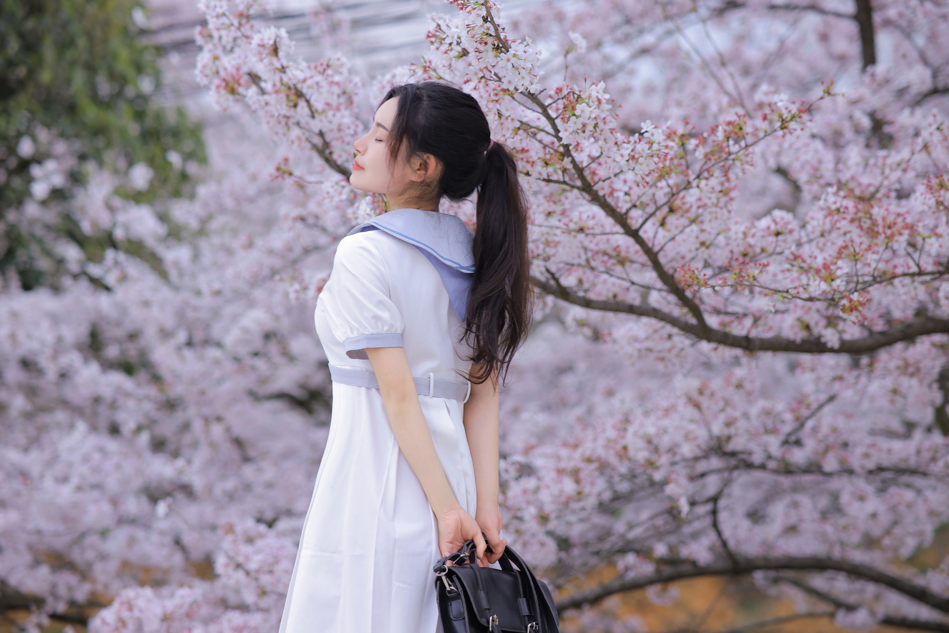 清纯学妹樱花树下私房写真-11-13